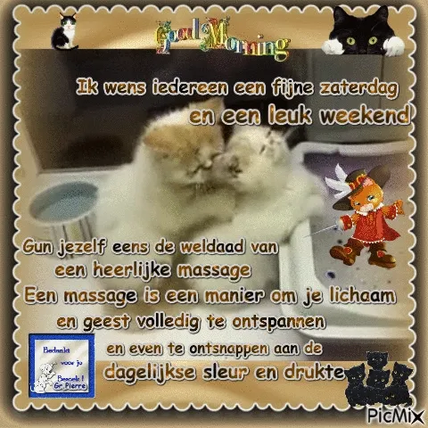 ᐅ mooie zaterdag - Zaterdag plaatjes Twee schattige katten die elkaar knuffelen, met tekst over ontspanning en het weekend.