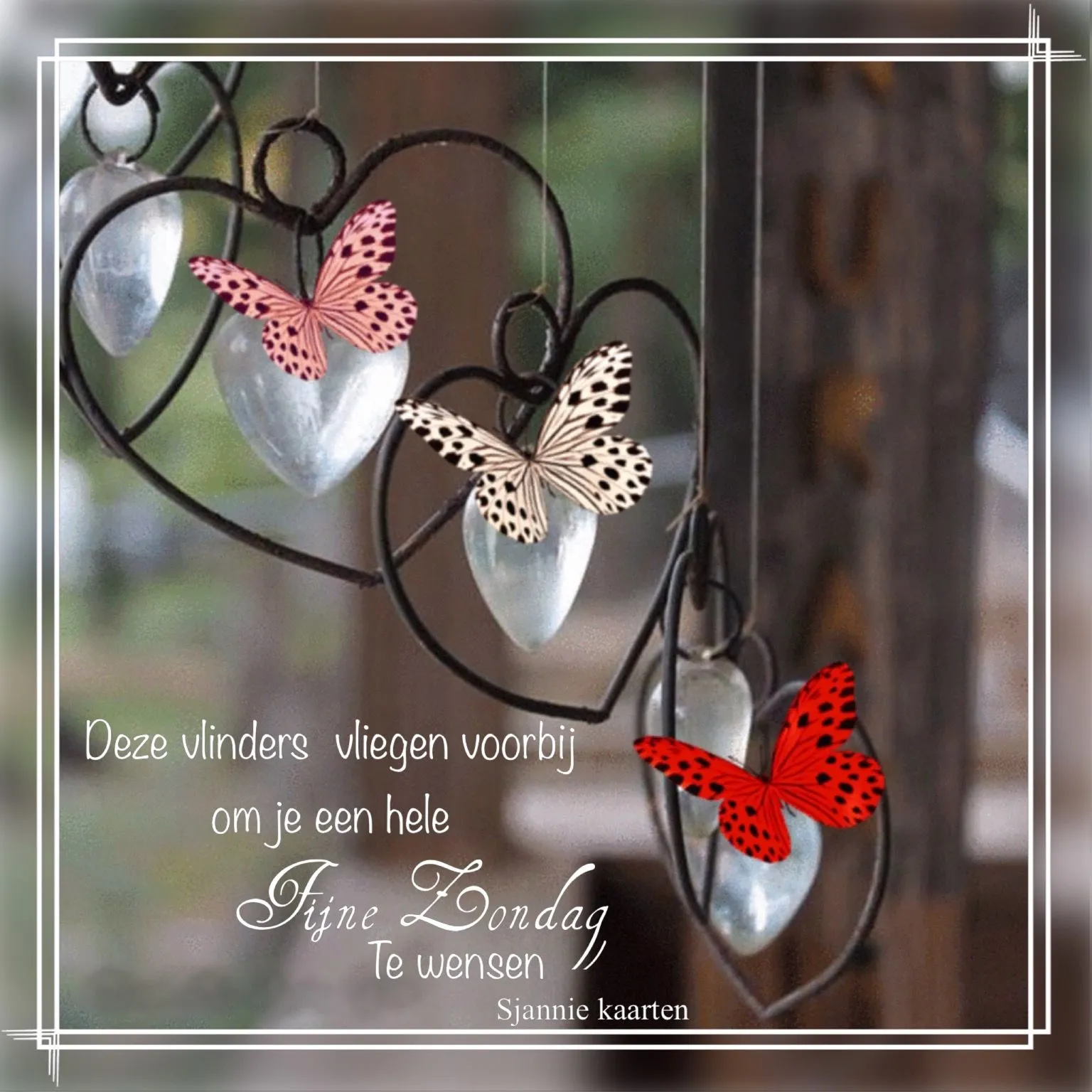 ᐅ mooie zondag - Zondag plaatjes Verschillende gekleurde vlinders vliegen rond hartvormige ornamenten. Fijne zondag wensen.