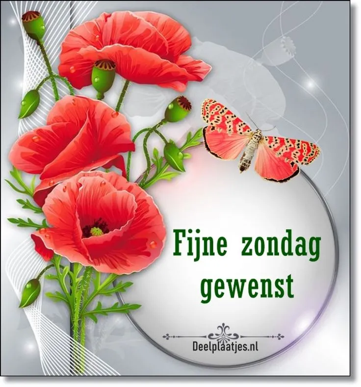 ᐅ mooie zondag - Zondag plaatjes Rode bloemen met een vlinder en de tekst "Fijne zondag gewenst".
