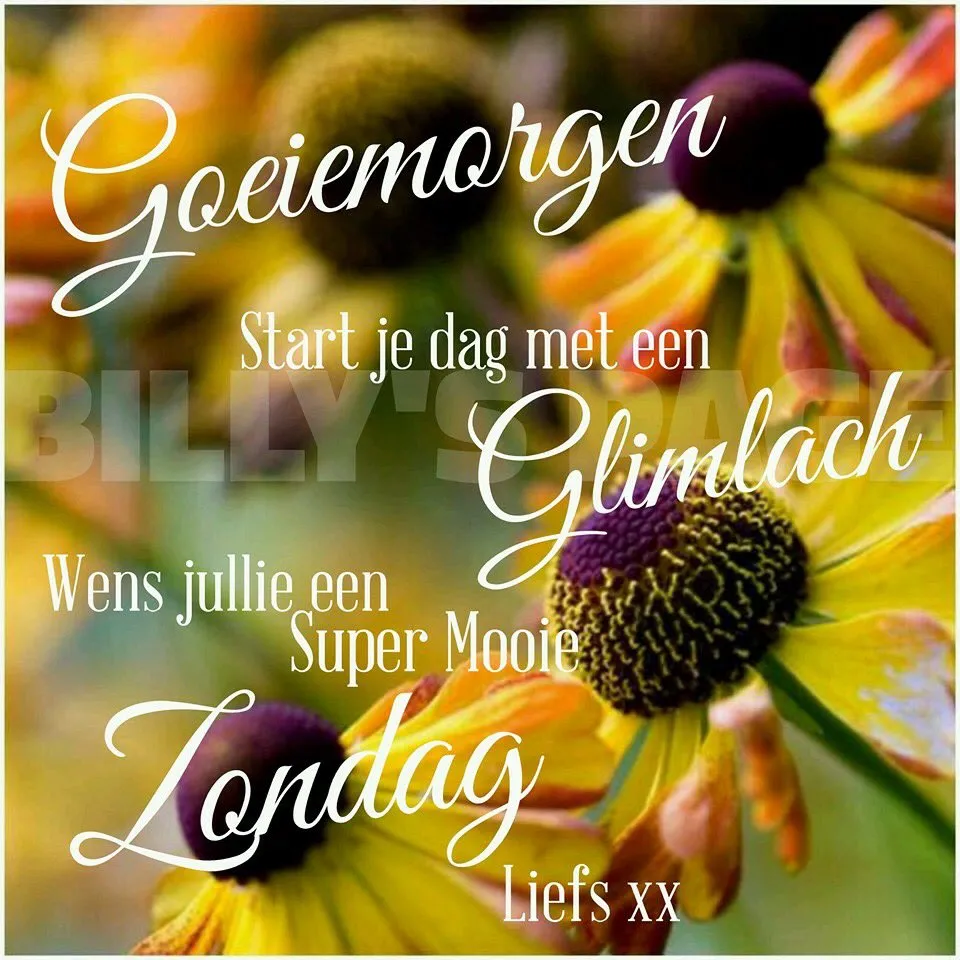 ᐅ mooie zondag - Zondag plaatjes Tekst op een achtergrond van bloemen, met een positieve boodschap voor de zondag.