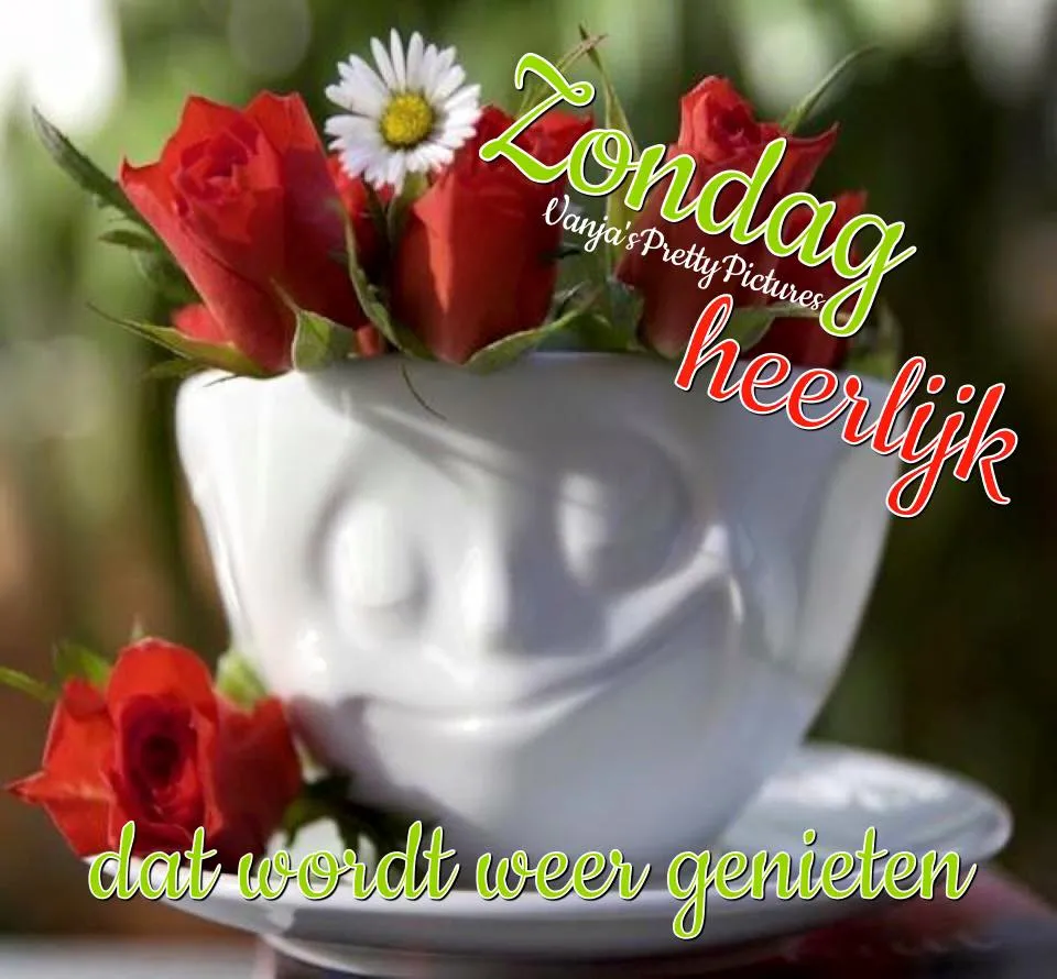 ᐅ mooie zondag - Zondag plaatjes Bloemenschikking in een glimlachende mok met rozen en een tekst over genieten.