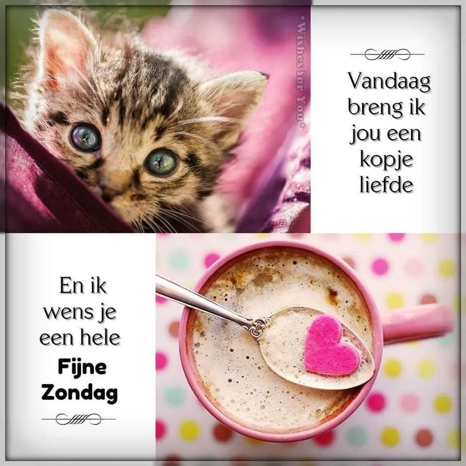 ᐅ mooie zondag - Zondag plaatjes Afbeelding van een schattige kitten en een mok met een hartvormige suikerpieper.