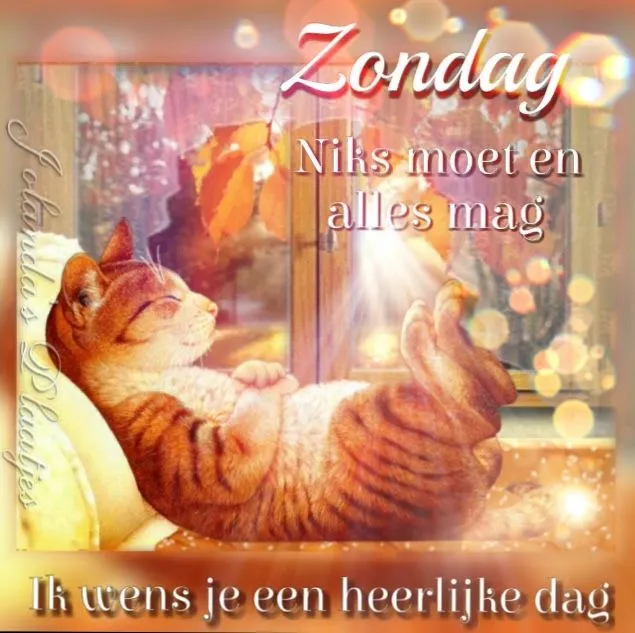 ᐅ mooie zondag - Zondag plaatjes Een ontspannen kat ligt te slapen met een zonnige achtergrond en de tekst "Zondag".