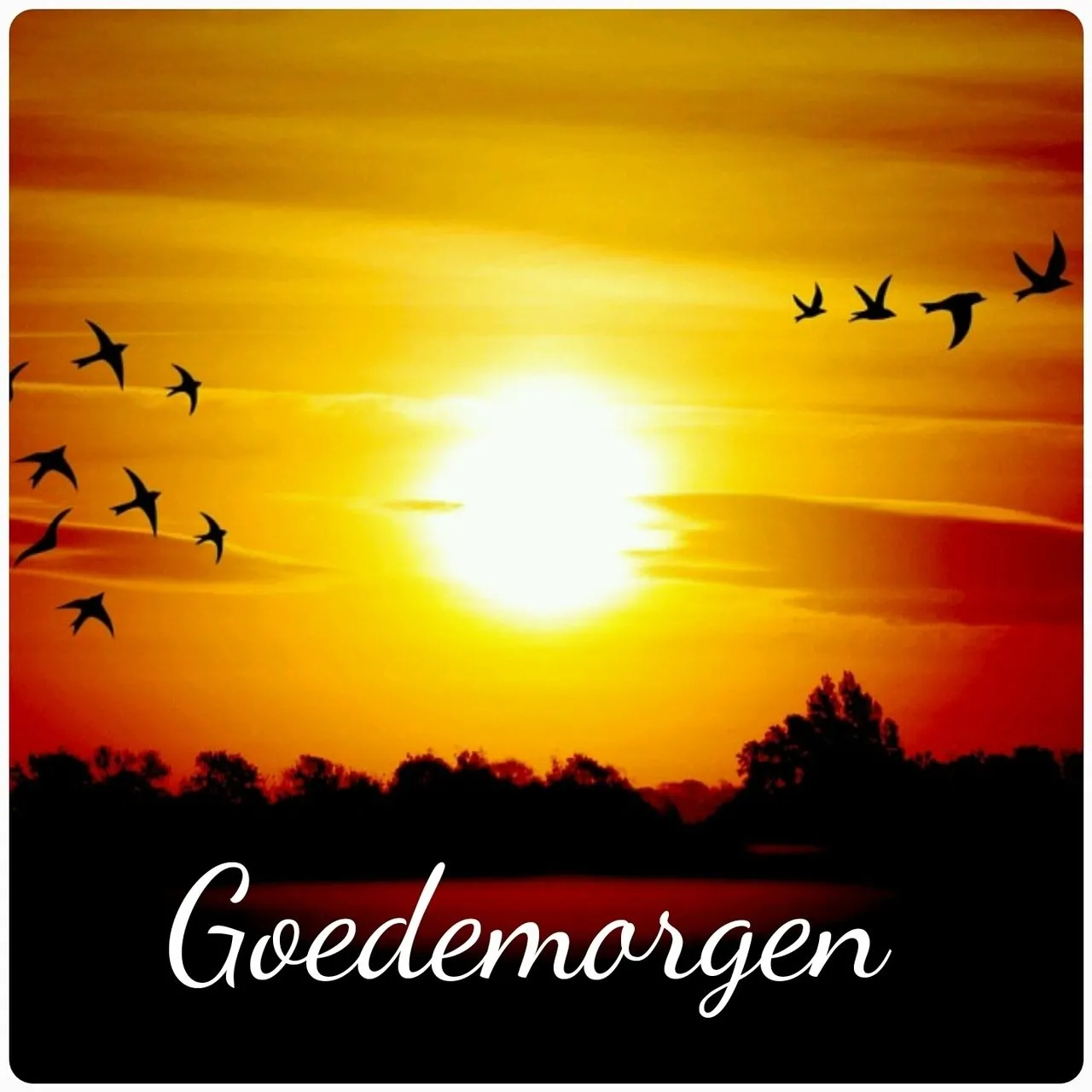 ᐅ mooie zondag - Zondag plaatjes Zonsondergang met silhouetten van vogels en de tekst 'Goedemorgen'.