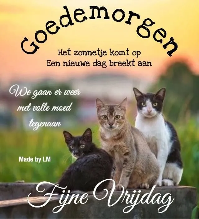 ᐅ morgen vrijdag - Vrijdag plaatjes Text met de woorden "Goedemorgen", "Fijne Vrijdag" en drie katten die naar de camera kijken.