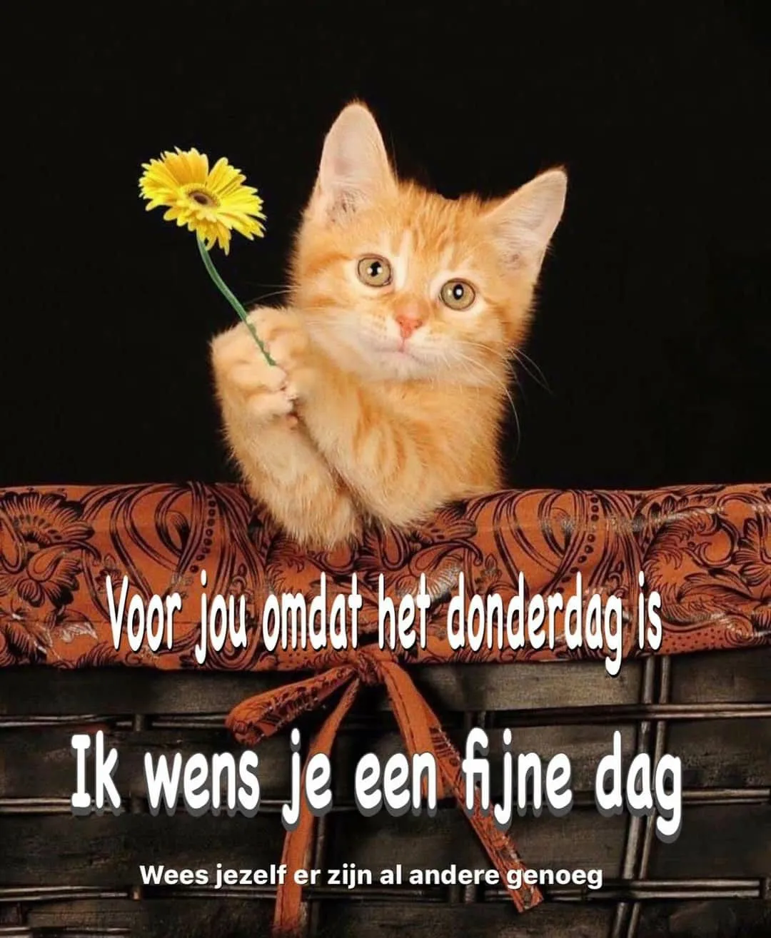 ᐅ plaatje donderdag - Donderdag plaatjes ᐅ plaatje donderdag - Donderdag plaatjes