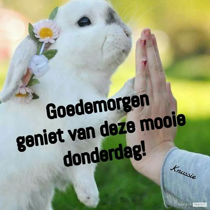 ᐅ plaatje donderdag - Donderdag plaatjes ᐅ plaatje donderdag - Donderdag plaatjes