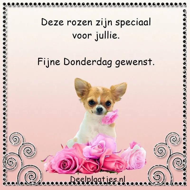 ᐅ plaatje donderdag - Donderdag plaatjes ᐅ plaatje donderdag - Donderdag plaatjes