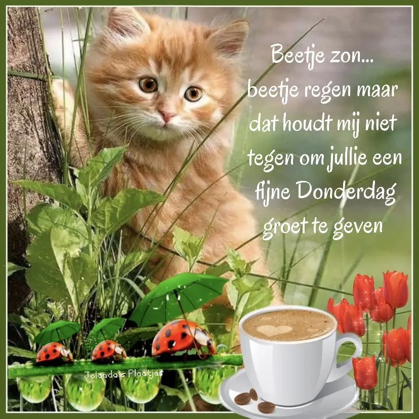 ᐅ plaatje donderdag - Donderdag plaatjes ᐅ plaatje donderdag - Donderdag plaatjes