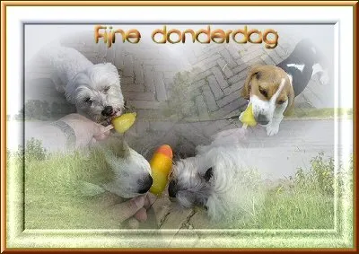 ᐅ plaatje donderdag - Donderdag plaatjes ᐅ plaatje donderdag - Donderdag plaatjes