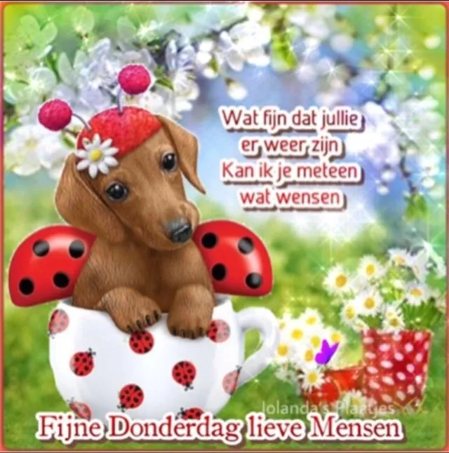 ᐅ plaatje donderdag - Donderdag plaatjes ᐅ plaatje donderdag - Donderdag plaatjes