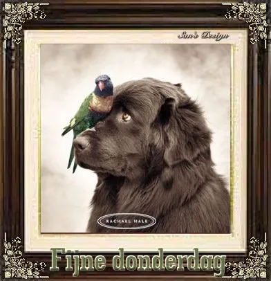 ᐅ plaatje donderdag - Donderdag plaatjes ᐅ plaatje donderdag - Donderdag plaatjes