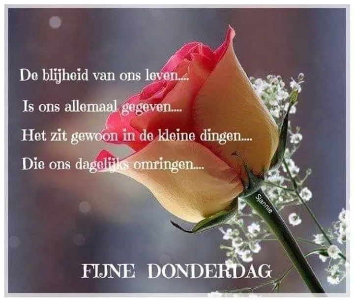 ᐅ plaatje donderdag - Donderdag plaatjes ᐅ plaatje donderdag - Donderdag plaatjes