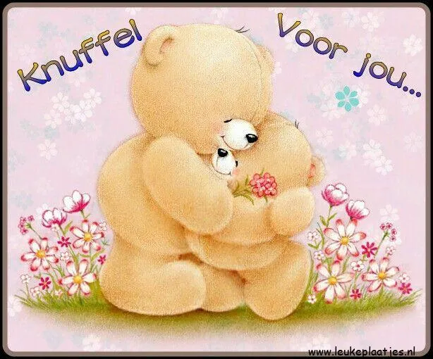 Twee schattige beren omhelzen elkaar tussen bloemen. Tekst: "Knuffel voor jou..."