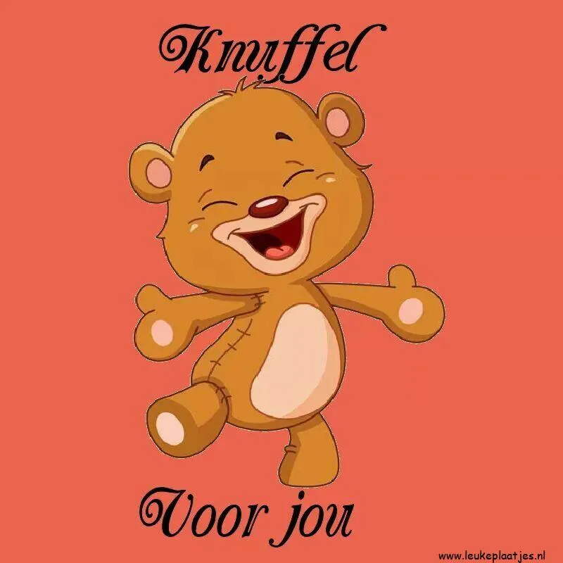 Een vrolijke teddybeer met de tekst "Knuffel voor jou" op een roze achtergrond.
