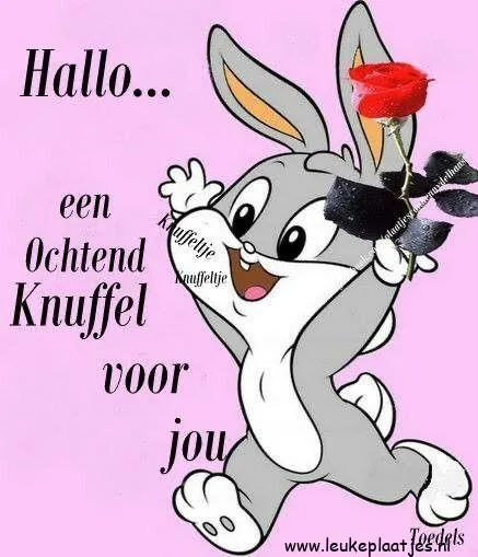 Tekende een vrolijke konijn met een roos en de tekst: "Hallo, een Ochtend Knuffel voor jou."
