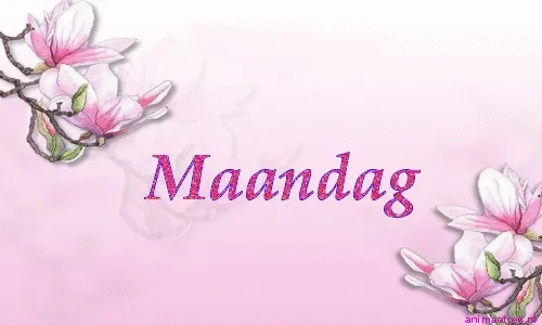 ᐅ plaatje maandag - Maandag plaatjes