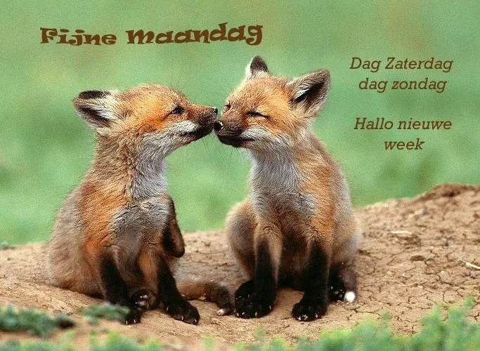 ᐅ plaatje maandag - Maandag plaatjes