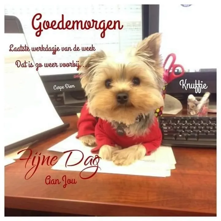 ᐅ plaatje maandag - Maandag plaatjes