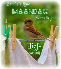 ᐅ plaatje maandag - Maandag plaatjes