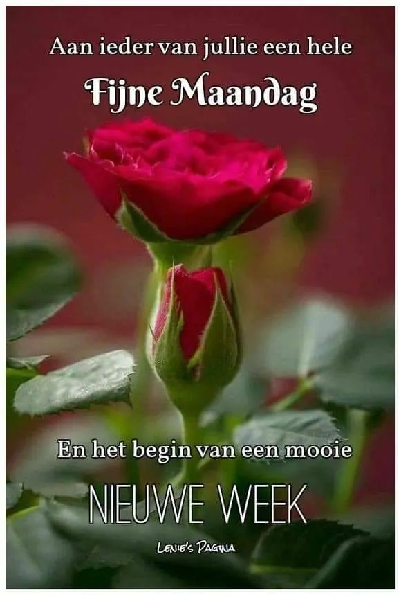 ᐅ plaatje maandag - Maandag plaatjes