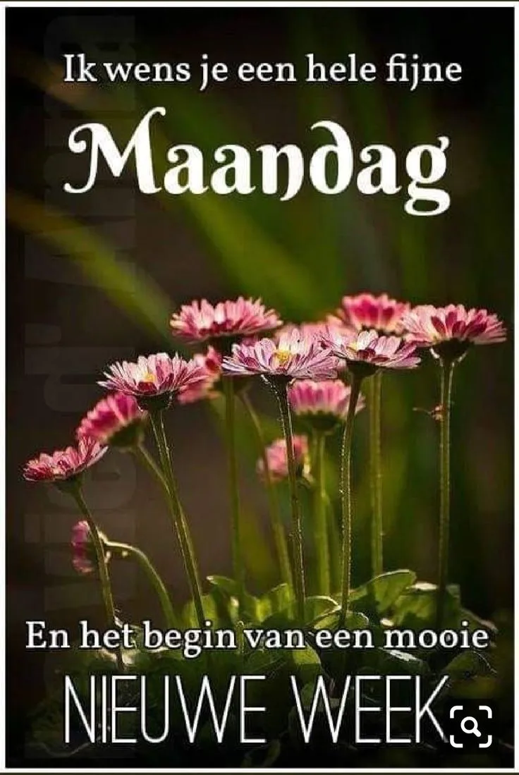ᐅ plaatje maandag - Maandag plaatjes