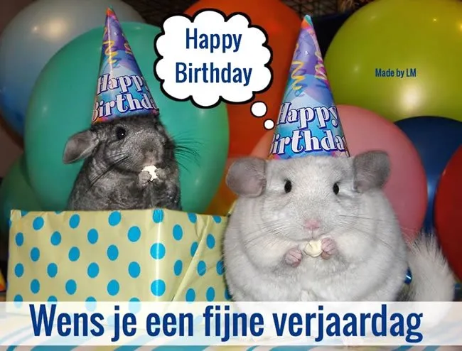 ᐅ plaatje verjaardag - Verjaardag plaatjes ᐅ plaatje verjaardag - Verjaardag plaatjes