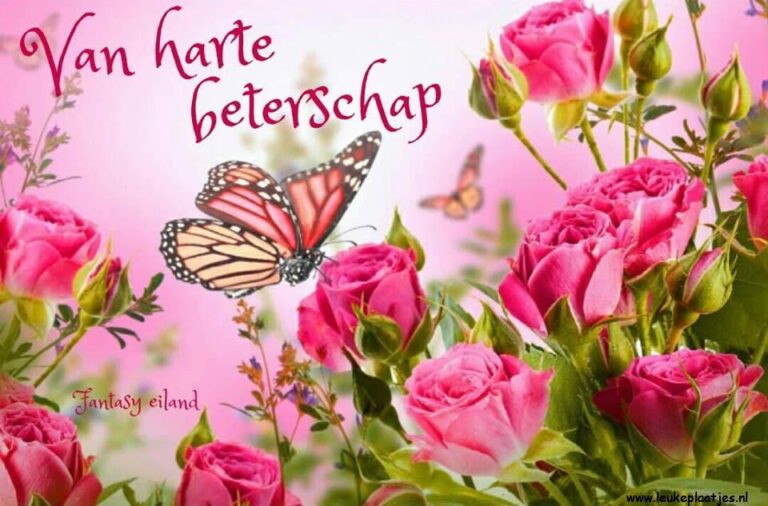 ᐅ plaatjes beterschap - Beterschap plaatjes