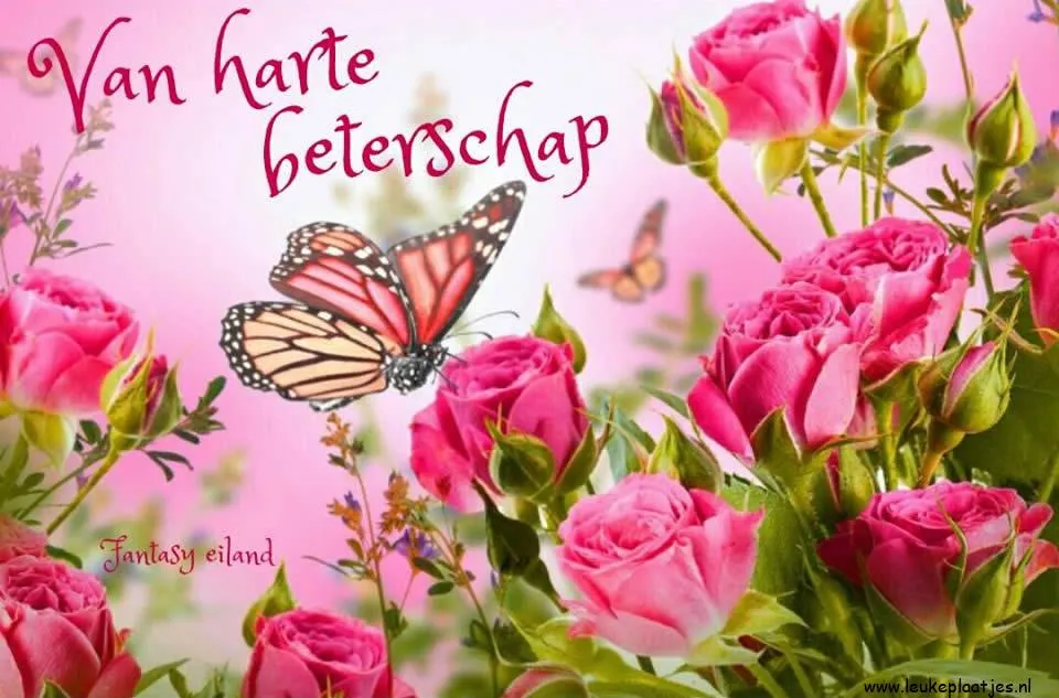 Rozen en vlinders met tekst "Van harte beterschap". Kleurrijke en vrolijke sfeer.