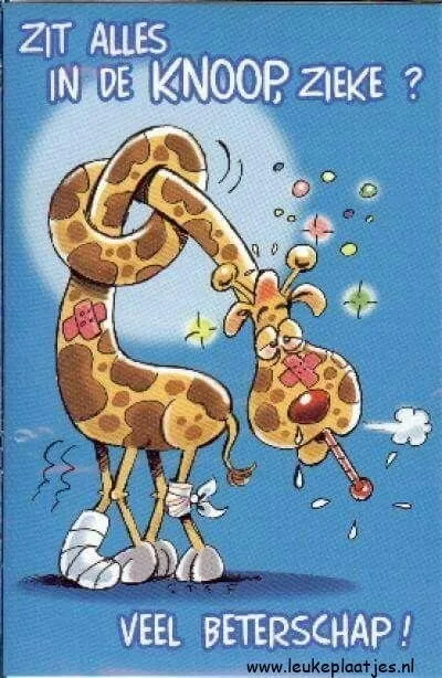 Een grappige giraffe met een thermometer en verbanden, vraagt om beterschap.