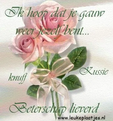 Rozen met een boodschap van hoop en liefde in sierlijke lettertypes.