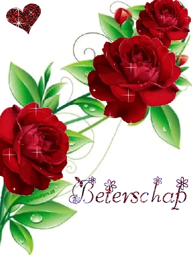 Een tak met rode rozen en bladeren, versierd met glitters en het woord 'Vriendschap'.