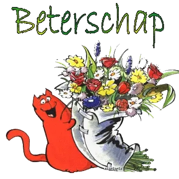 Rood katje met bloemenboeket, vrolijk en bemoedigend. Tekst: "Beterschap".