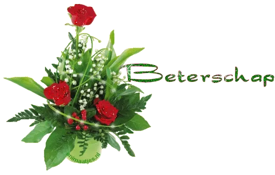 Een bloemenarrangement met rode rozen en groene bladeren, met het woord "Beterschap."