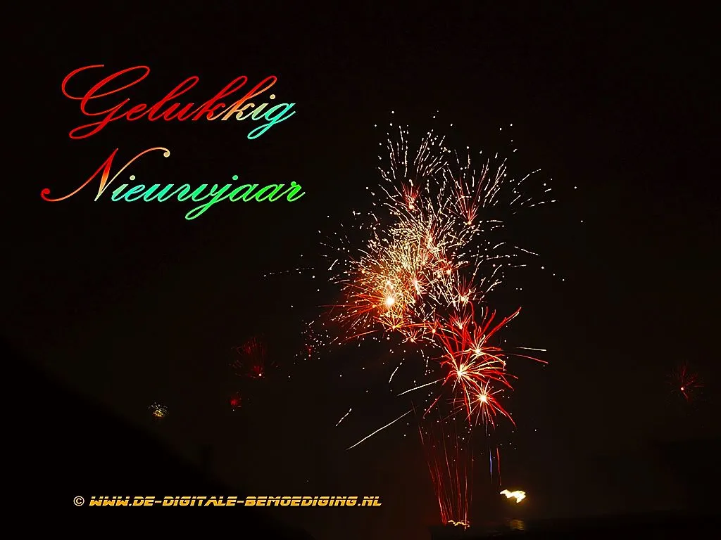 Vuurwerk in de lucht met de tekst 'Gelukkig Nieuwjaar' in kleurrijke letters.