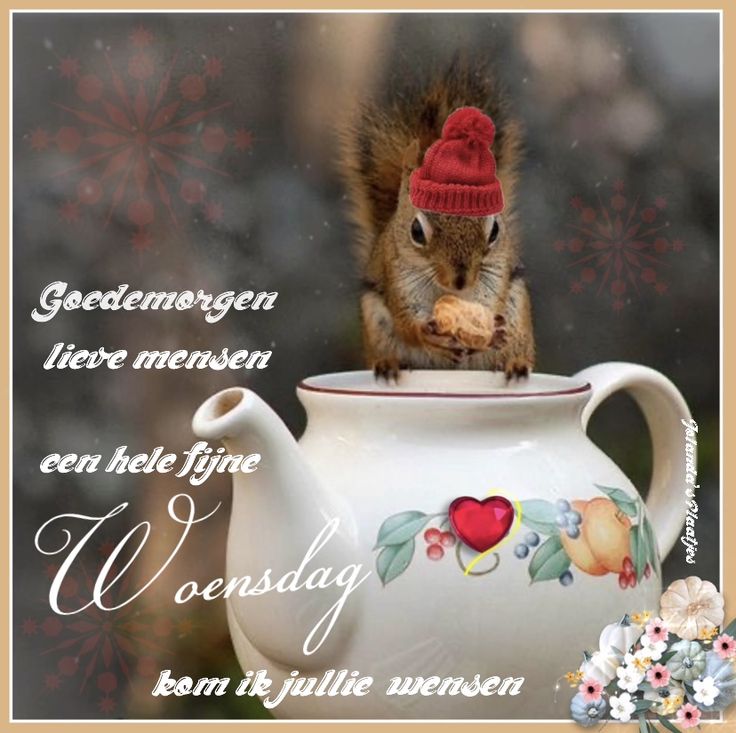 ᐅ plaatjes goedemorgen - Goedemorgen plaatjes