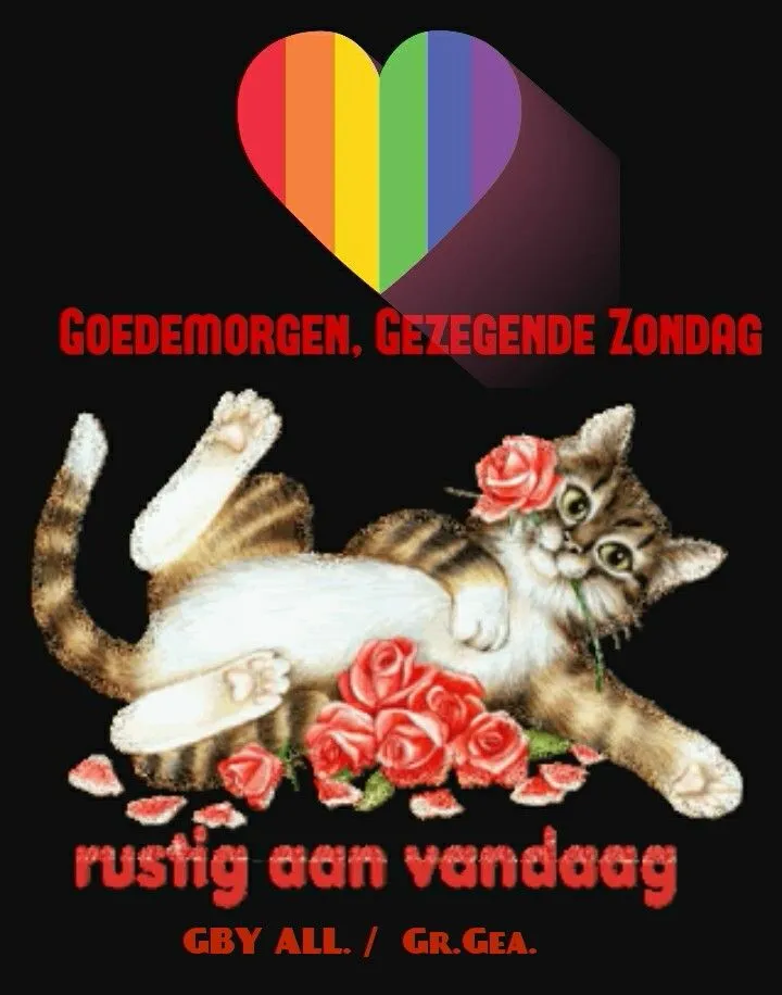 Een kattenafbeelding met rozen en een regenbooghart, begroet een rustige zondag.
