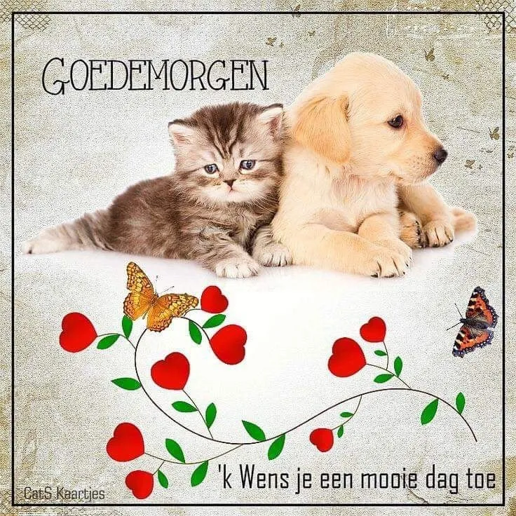 Een kitten en een puppy liggen samen met hartjes en vlinders op de achtergrond.