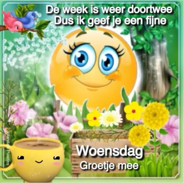 Zonnige afbeelding met vrolijke elementen en de tekst "Woensdag, groetje mee".