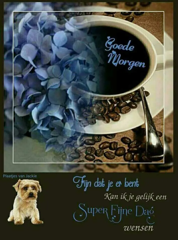 Koffie met bloemen, tekst 'Fijn dat je er bent', leuke boodschap voor de dag.