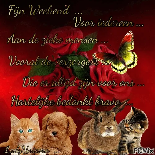 Tekst met een boodschap over dankbaarheid voor zorgverleners, met dierenafbeeldingen.