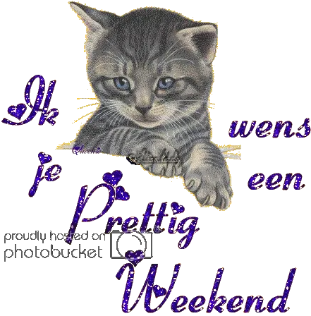 Kattetje met de tekst "Ik wens je een prettig weekend" in glanzende letters.