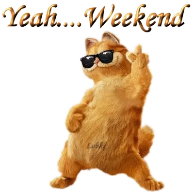 Een kat met zonnebril geeft een vingergebaar voor het weekend.