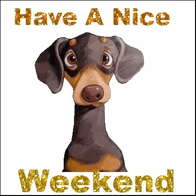 Een schattige hond met de tekst "Fijn Weekend" eromheen.
