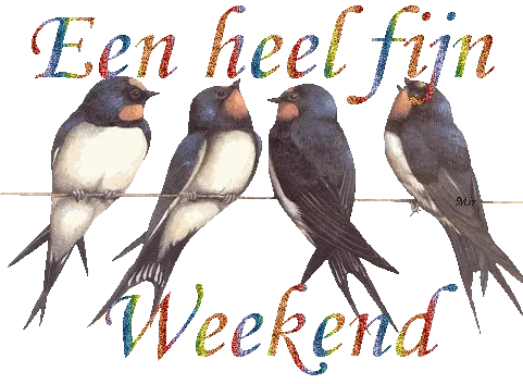 Vogels zitten op een draad met de tekst "Een heel fijn Weekend".
