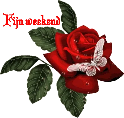 Rode roos met een vlinder en de tekst: "Fijn weekend".