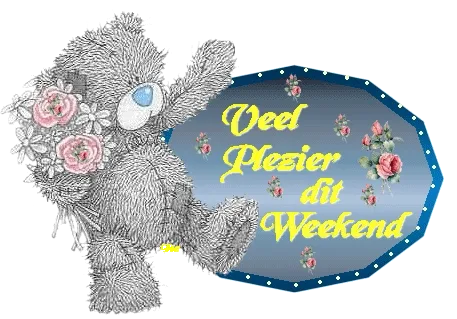 Grijs pluche beertje met bloemen, tekst: "Veel plezier dit weekend".