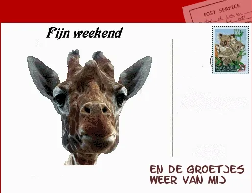 Kaart met giraffe en de tekst 'Fijn weekend' en 'Groetjes weer van mij'.