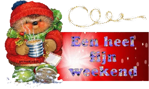 Een schattig egeltje in winterkleding met een kopje warme drank en de tekst "Een heel fijn weekend".