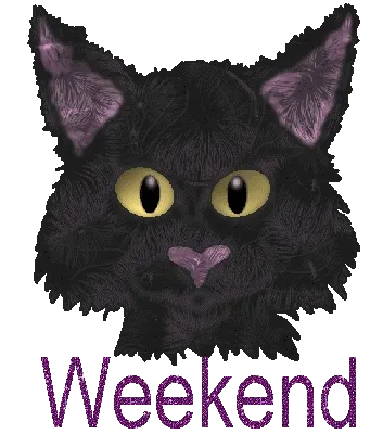 Zwart katje met grote ogen en tekst 'Weekend' eronder.